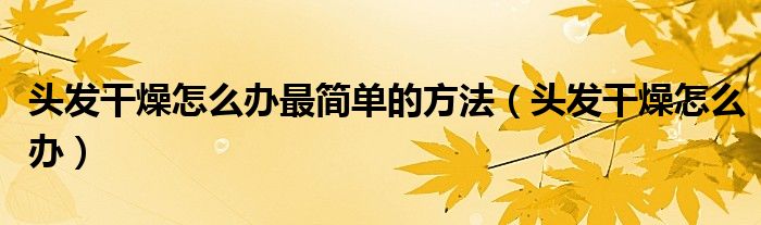 頭發(fā)干燥怎么辦最簡單的方法（頭發(fā)干燥怎么辦）