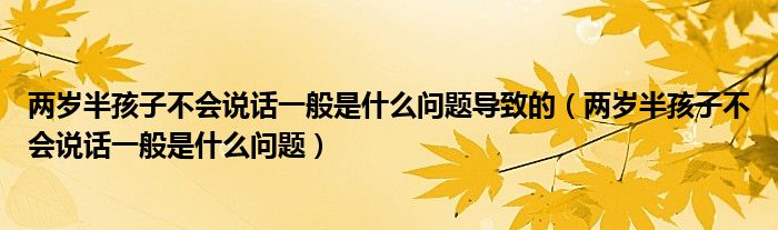 兩歲半孩子不會說話一般是什么問題導(dǎo)致的（兩歲半孩子不會說話一般是什么問題）