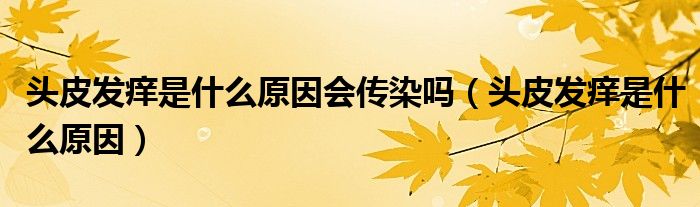 頭皮發(fā)癢是什么原因會傳染嗎（頭皮發(fā)癢是什么原因）