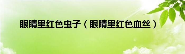 眼睛里紅色蟲(chóng)子（眼睛里紅色血絲）
