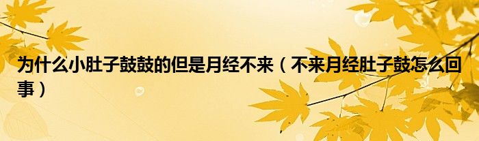 為什么小肚子鼓鼓的但是月經(jīng)不來(lái)（不來(lái)月經(jīng)肚子鼓怎么回事）