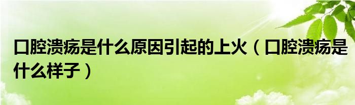 口腔潰瘍是什么原因引起的上火（口腔潰瘍是什么樣子）