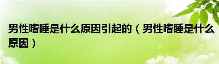 男性嗜睡是什么原因引起的（男性嗜睡是什么原因）