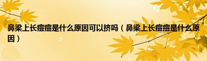 鼻梁上長痘痘是什么原因可以擠嗎（鼻梁上長痘痘是什么原因）