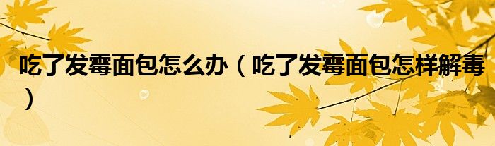 吃了發(fā)霉面包怎么辦（吃了發(fā)霉面包怎樣解毒）