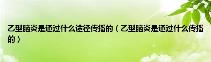 乙型腦炎是通過(guò)什么途徑傳播的（乙型腦炎是通過(guò)什么傳播的）