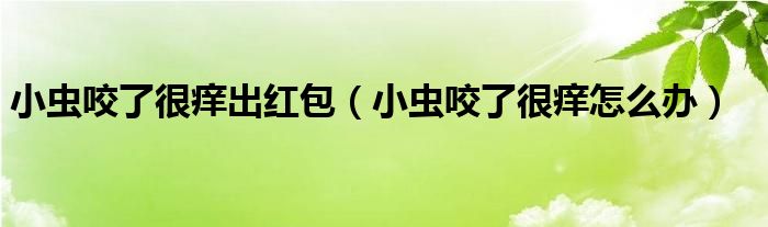 小蟲咬了很癢出紅包（小蟲咬了很癢怎么辦）