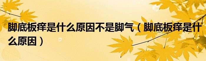 腳底板癢是什么原因不是腳氣（腳底板癢是什么原因）