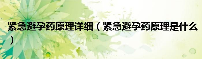 緊急避孕藥原理詳細(xì)（緊急避孕藥原理是什么）