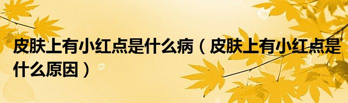 皮膚上有小紅點(diǎn)是什么?。ㄆつw上有小紅點(diǎn)是什么原因）