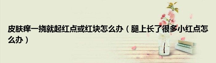 皮膚癢一撓就起紅點(diǎn)或紅塊怎么辦（腿上長了很多小紅點(diǎn)怎么辦）