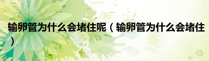 輸卵管為什么會(huì)堵住呢（輸卵管為什么會(huì)堵?。? /></span>
		<span id=