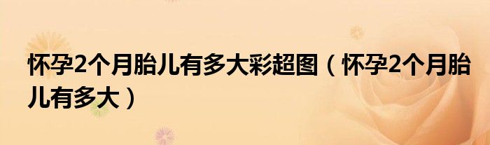 懷孕2個(gè)月胎兒有多大彩超圖(懷孕2個(gè)月胎兒有多大)