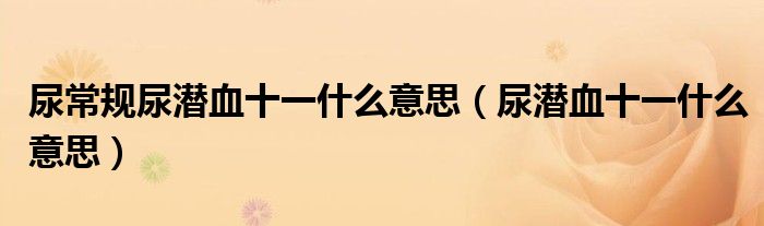 尿常規(guī)尿潛血十一什么意思（尿潛血十一什么意思）