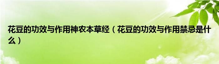 花豆的功效與作用神農(nóng)本草經(jīng)（花豆的功效與作用禁忌是什么）