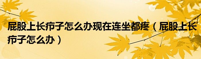 屁股上長(zhǎng)癤子怎么辦現(xiàn)在連坐都疼（屁股上長(zhǎng)癤子怎么辦）