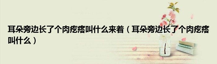 耳朵旁邊長了個肉疙瘩叫什么來著（耳朵旁邊長了個肉疙瘩叫什么）