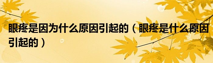 眼疼是因?yàn)槭裁丛蛞鸬模ㄑ厶凼鞘裁丛蛞鸬模?class='thumb lazy' /></a>
		    <header>
		<h2><a  href=