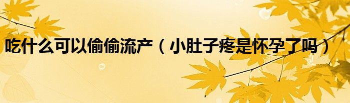 吃什么可以偷偷流產(chǎn)（小肚子疼是懷孕了嗎）