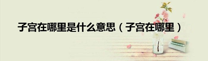 子宮在哪里是什么意思（子宮在哪里）