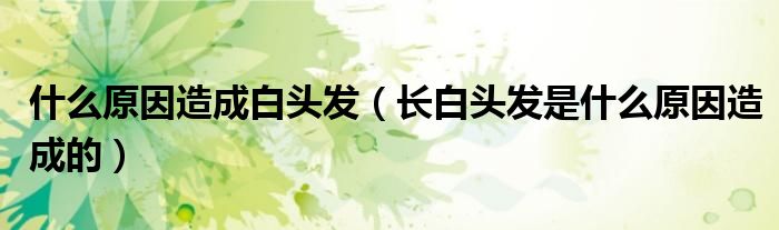 什么原因造成白頭發(fā)（長白頭發(fā)是什么原因造成的）