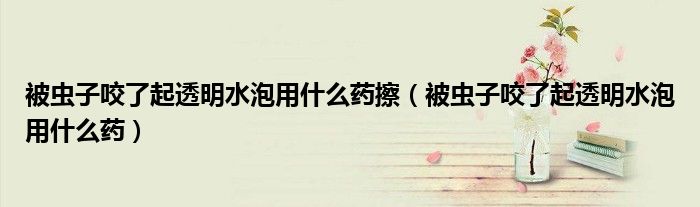 被蟲子咬了起透明水泡用什么藥擦（被蟲子咬了起透明水泡用什么藥）