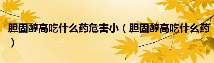 膽固醇高吃什么藥危害?。懝檀几叱允裁此帲?class='thumb lazy' /></a>
		    <header>
		<h2><a  href=