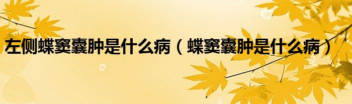 左側(cè)蝶竇囊腫是什么病（蝶竇囊腫是什么?。?class='thumb lazy' /></a>
		    <header>
		<h2><a  href=
