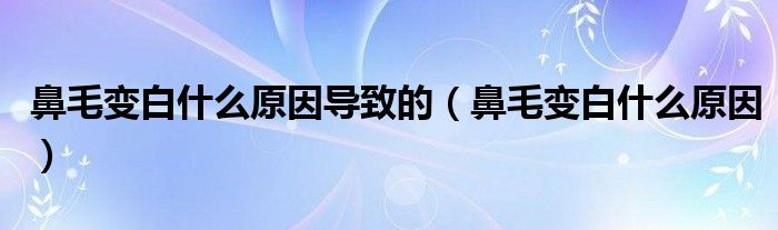 鼻毛變白什么原因?qū)е碌模ū敲儼资裁丛颍?class='thumb lazy' /></a>
		    <header>
		<h2><a  href=