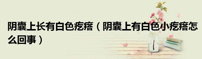 陰囊上長有白色疙瘩（陰囊上有白色小疙瘩怎么回事）