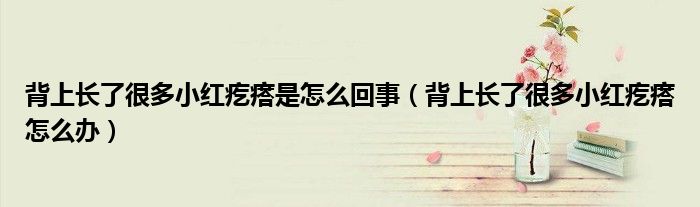 背上長了很多小紅疙瘩是怎么回事（背上長了很多小紅疙瘩怎么辦）