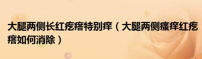 大腿兩側長紅疙瘩特別癢（大腿兩側瘙癢紅疙瘩如何消除）