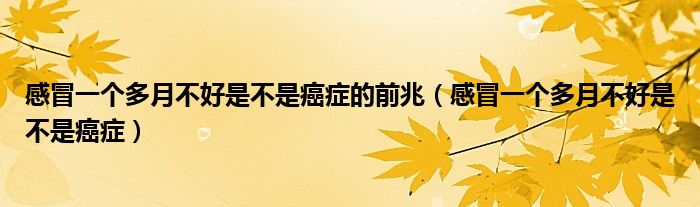 感冒一個(gè)多月不好是不是癌癥的前兆（感冒一個(gè)多月不好是不是癌癥）
