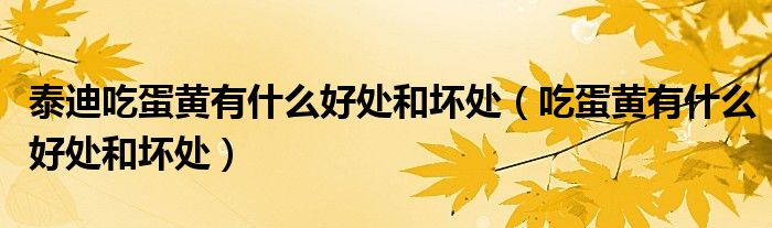 泰迪吃蛋黃有什么好處和壞處（吃蛋黃有什么好處和壞處）
