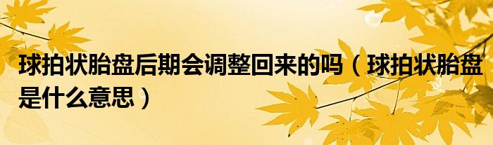 球拍狀胎盤(pán)后期會(huì)調(diào)整回來(lái)的嗎（球拍狀胎盤(pán)是什么意思）