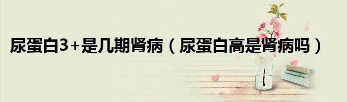 尿蛋白3+是幾期腎?。虻鞍赘呤悄I病嗎）