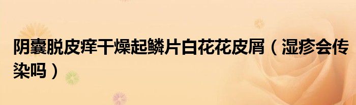 陰囊脫皮癢干燥起鱗片白花花皮屑（濕疹會傳染嗎）