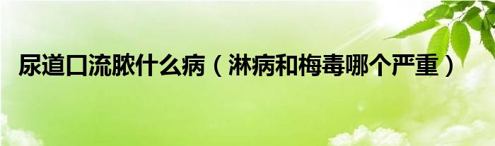 尿道口流膿什么?。懿『兔范灸膫€嚴(yán)重）