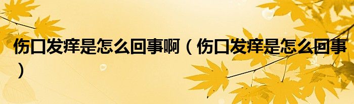 傷口發(fā)癢是怎么回事?。▊诎l(fā)癢是怎么回事）