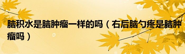 腦積水是腦腫瘤一樣的嗎（右后腦勺疼是腦腫瘤嗎）