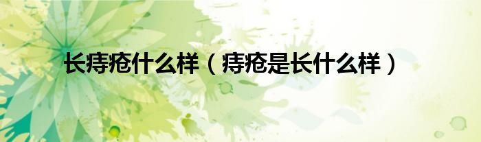 長(zhǎng)痔瘡什么樣（痔瘡是長(zhǎng)什么樣）