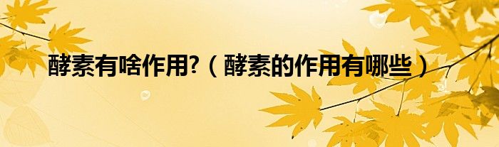 酵素有啥作用?（酵素的作用有哪些）