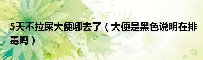 5天不拉屎大便哪去了（大便是黑色說(shuō)明在排毒嗎）
