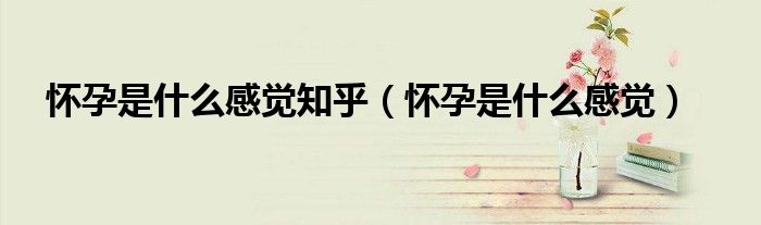懷孕是什么感覺知乎（懷孕是什么感覺）