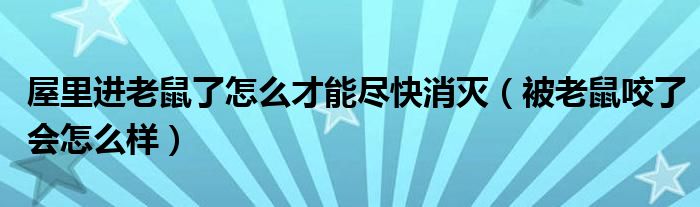 屋里進老鼠了怎么才能盡快消滅（被老鼠咬了會怎么樣）