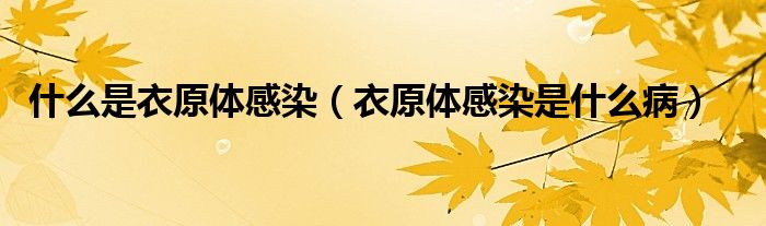 什么是衣原體感染（衣原體感染是什么?。?class='thumb lazy' /></a>
		    <header>
		<h2><a  href=