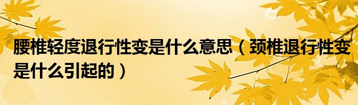 腰椎輕度退行性變是什么意思（頸椎退行性變是什么引起的）