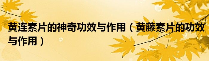 黃連素片的神奇功效與作用(黃藤素片的功效與作用)