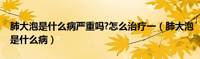 肺大泡是什么病嚴(yán)重嗎?怎么治療一（肺大泡是什么?。?class='thumb lazy' /></a>
		    <header>
		<h2><a  href=
