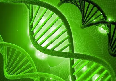 以前未知的細胞間電可能為生物學(xué)提供動力